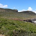 Vor dem Blowhole