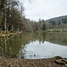 Etang de Vendlincourt