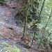 Der während vielen Jahren gesperrte Aufstieg nach Zaun wurde wieder tadellos instand gesetzt. Steil und teilweise ausgesetzt ist er aber immer noch.