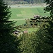 Von oben betrachtet kommen die gewaltigen Höhendifferenzen weniger gut zur Geltung: Zwischen dem Hof Furen (950 m, links) und der Ebene des Aaretals (580 m) liegen fast 400 Höhenmeter!