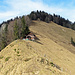 Unterwegs zum Wellenberg.