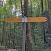 Seit der Weg nach Zaun wieder offen ist, gibt es auch einen neuen Wegweiser, dessen weiss-rot-weisse Spitze dem heutigen Charakter des Weges vollumfänglich gerecht wird. (Aufnahme vom 29.09.2024)
