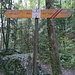 So präsentierte sich der Wegweiser an der Brücke über den Oltschibach jahrzehntelang. Bis vor rund einem halben Jahrhundert war der Weg nach Zaun relativ breit und wohl auch recht komfortabel zu begehen. Daher rührt vermutlich auch die gelbe Markierung, die aber längst überholt ist. (Aufnahme vom 04.10.2021)