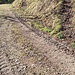 Abdrücke eines Vehikelks - vielleicht Raupenfahrzeug wie Bagger