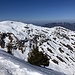 Hinüberblick vom Gipfel zum Fronalpstock