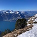auf dem Huser Stock: geradeaus geht kein Weg mehr weiter - doch eröffnet sich der Blick zu zwei Ästen des Vierwaldstättersee' ...