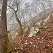 rote Markierung in der Bildmitte. 