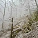 es wird weiss und rutschig...