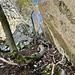 Das kleine Couloir nach der Queerung. <br />Durch das Couloir hoch, gleich rechts befindet sich der Picknickplatz. <br />Rechts von mir geht die Kette weg in die luftige Querung (Klettersteig) zum Ausstieg des Eulengrates. 