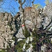 Nach dem Picknickplatz Richtung Ausstieg zum Wanderweg. 