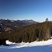 über die Schneise flott hinab
