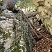 Die Leiter macht einen guten Eindruck.