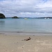 Otaio Bay