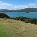 Cable Bay Loop