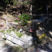 Trockener Trog am Steig zur Stubenalm
