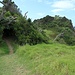Tapeka Track
