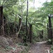 Jim's Walkway