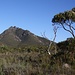 Nochmal der Toolbrunup in regionaltypischer Vegetation.