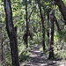 Fast wieder beim Trailhead.