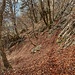 Paradiesausstieg. Blick zurück