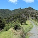 Am Ende des Peach Cove Tracks