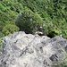 Blick die oberste Kletterstelle hinunter