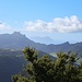 Ausblick auf den Bream Head, den Gipfel kann man besteigen.
