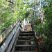 ... und noch mehr Treppen.