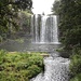 Whangarei Falls