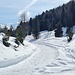 <b>La prima parte di salita nel bosco presenta alcuni tratti ripidi, con fondo compatto, che oggi richiedono i rampanti. Una volta raggiunte le strade innevate la gita diventa un completo relax. La visione di scoiattoli che attraversano il percorso, gli abeti e i cembri innevati nonché le cime prestigiose costituiscono un valore aggiunto, che rendono il comprensorio dell’Alta Valtellina un luogo con una predisposizione naturale per lo sci e per le ciaspole.</b>