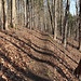 Wanderpfad