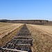 Zethauer Kunstgraben, desolate Abdeckung