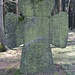 Carlowitz-Kreuz 2