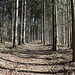 Zethauer Kunstgraben, Waldpassage
