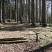 Zethauer Kunstgraben, Schütz
