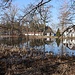 Mühlteich der Heidemühle
