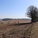 Landschaft mit dem Grabenlauf (Bildmitte ganz links)<br />Links der Baumreihe ist die Kirche von Zethau zu sehen.
