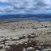 Blick über Flechten zum Lake Tarawera