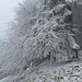winterliche Verhältnisse