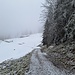 Altschnee und Neuschnee