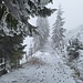 winterlicher Wanderweg