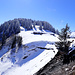 Alp Maton