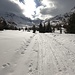 <b>Ecco una fugace occhiata di sole lungo il percorso, parzialmente battuto dalle motoslitte, che si sviluppa nei pressi del Torrente Frodolfo, sul suo lato nord.
La neve è umidiccia e comincia subito a crearmi qualche problema di scorrevolezza.  </b>