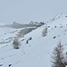<b>In alto la nebbia si intensifica; oggi la spettacolare veduta sui ghiacciai mi è completamente negata. </b>
