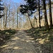 Breite Wanderwege.