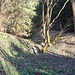 Burggraben 