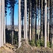 Die beste Aussicht die das Berglein bietet... 