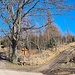 Einzige Rastbank am Weg 