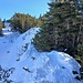 Auf dem Grat zum Auerspitz