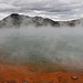 Champagne Pool, die grösste heisse Quelle Neuseelands. Die Oberflächentemperatur beträgt 74°C.